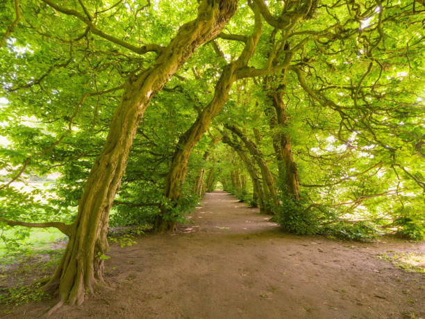 Camera: Hasselblad Y2D 100C - 45 MP-Sensor / Location: Lower Saxony, Germany
