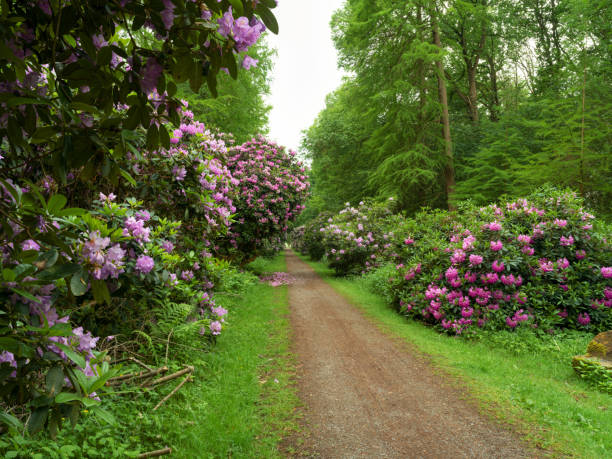 Camera: Hasselblad Y2D 100C - 45 MP-Sensor / Location: Lower Saxony, Germany