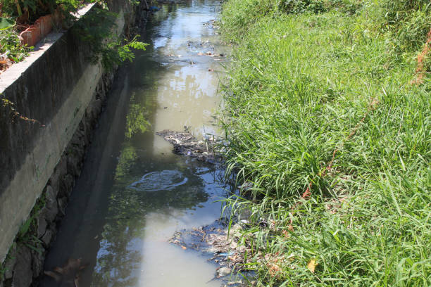 istock Dirty river. Murky water with plastic trash and river weed 2188840077