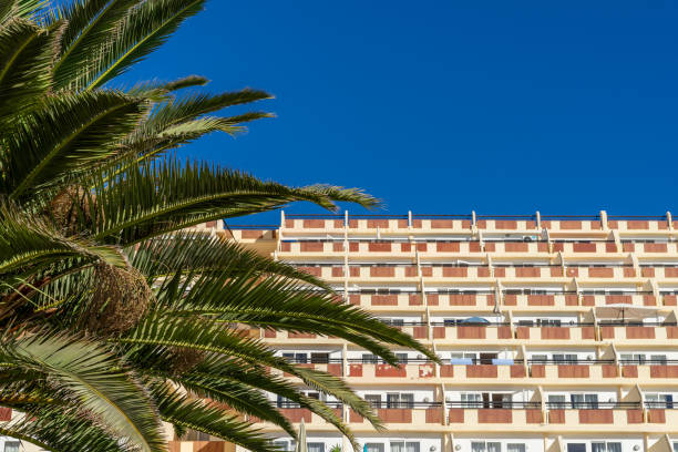Spain, Fuerteventura, Morro Jable, November 18, 2024 - Palm tree against apartment building and clear sky