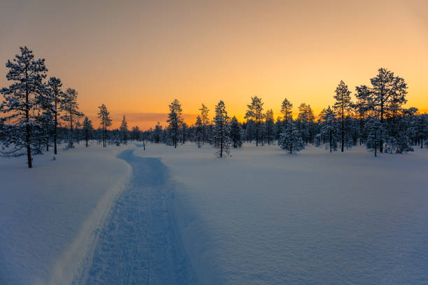 istock Well Trodden Path in a Snowy Forest After Sunset 2188844615