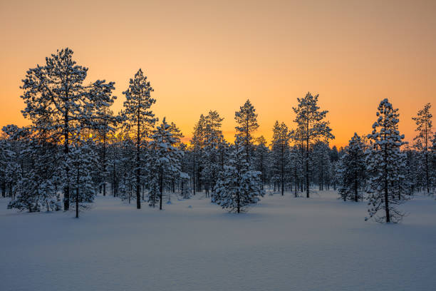 istock Snowy Polar Forest After Sunset 2188844616