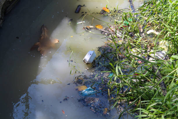 Dirty river. Murky water with plastic trash and river weed