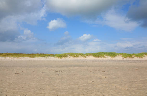 istock desolate, almost desert-like landscape with sand, stones, sparse vegetation, and a blue sky typical of the Mediterranean scrubland and North African countries in summer 2188850563
