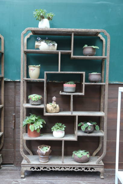 istock A wooden shelf with many potted plants on it 2188850568