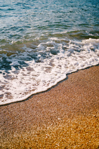 Sea surf rolls on the sandy beach. High quality photo