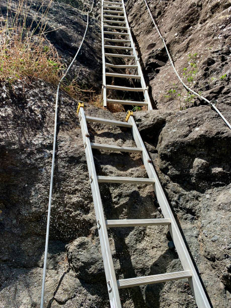 istock Ladder in Reunion island 2188852138
