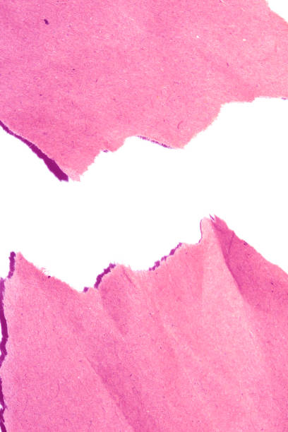 Ripped and Torn Jagged Paper Card Background in Pink