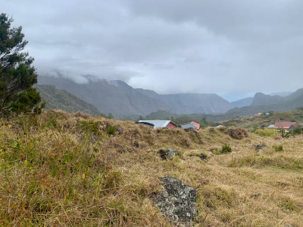 istock Marla in Reunion island 2188853158