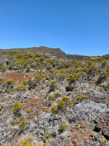 istock Trail on volcanic terrain on Reunion Island 2188856097
