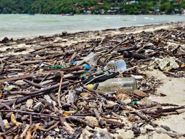 istock A beach heavily littered with wood and plastic 2188856123