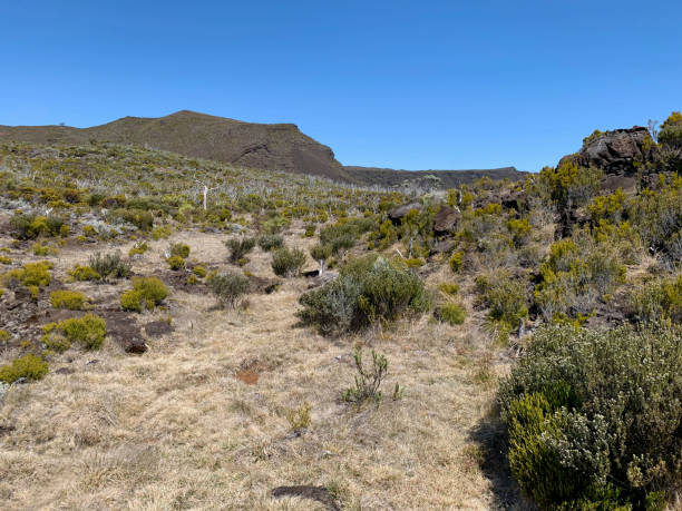 istock Trail on volcanic terrain on Reunion Island 2188856128