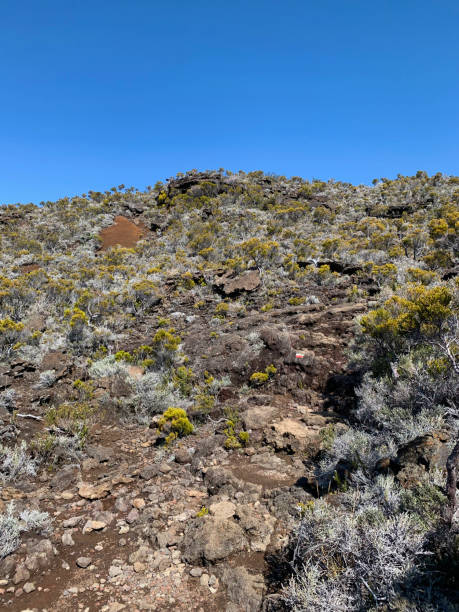 istock Trail on volcanic terrain on Reunion Island 2188856220