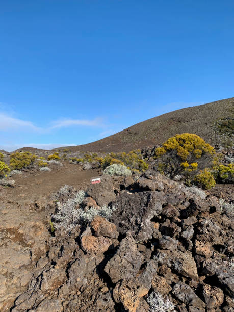 istock Plaine des sables in Reunion island 2188856825