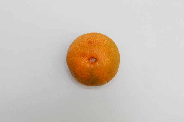 istock One Citrus reticulata or mandarin orange, isolated on white background 2188860788