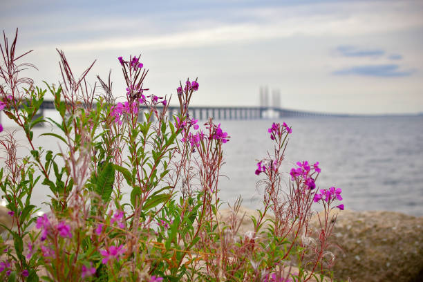 istock Blurry image of the Oresund Bridge. 2188860935