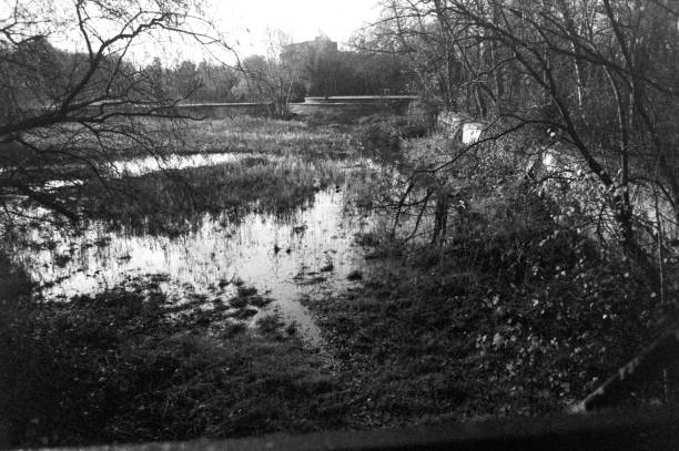 istock Middlesex filter beds nature reserve reflecting on the river lea in monochrome 2188861406