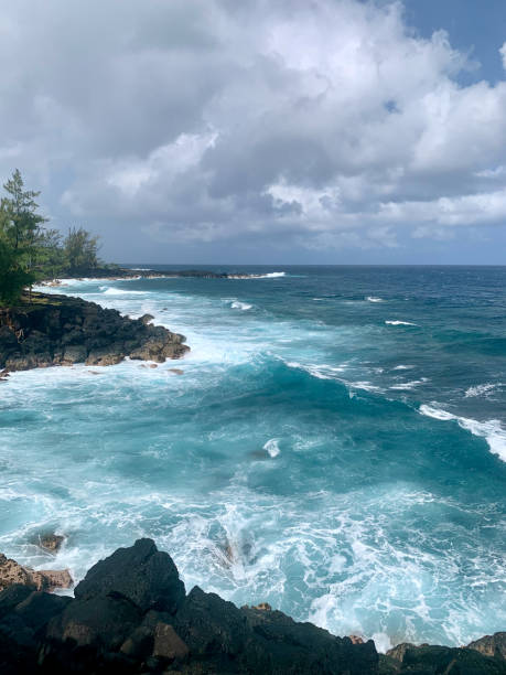 istock The coast at Saint-Philippe on Reunion Island 2188861446