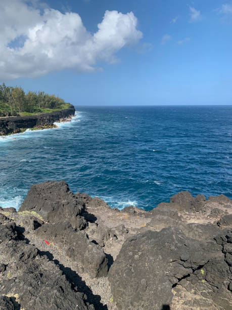 istock The coast at Saint-Philippe on Reunion Island 2188861476
