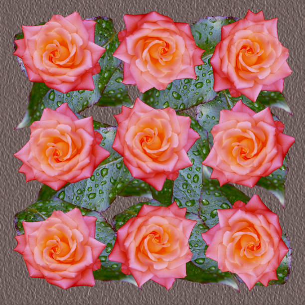 istock Illustration of a rose napkin on an abstract background 2188863097
