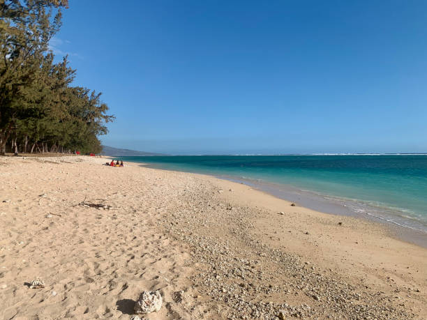 istock Hermitage beach on Reunion Island 2188863250