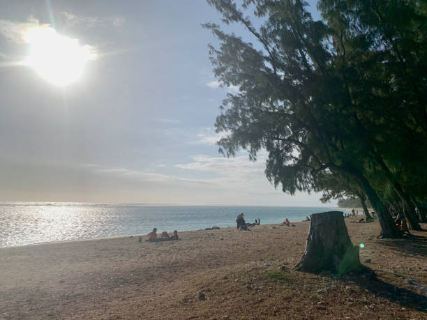 istock Hermitage beach on Reunion Island 2188863267