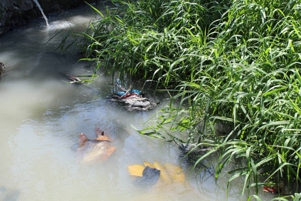 Dirty river. Murky water with plastic trash and river weed