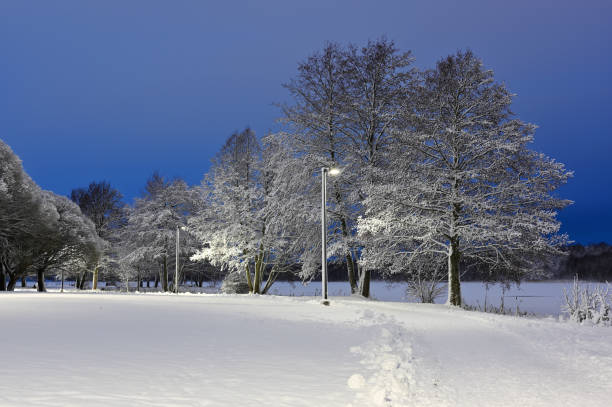 a serene winter evening with snow-covered trees illuminated by soft streetlights. The deep blue twilight sky contrasts beautifully with the pure white snow blanketing the ground and trees. The footprints in the snow suggest a peaceful human presence, enhancing the tranquil and picturesque ambiance of the scene