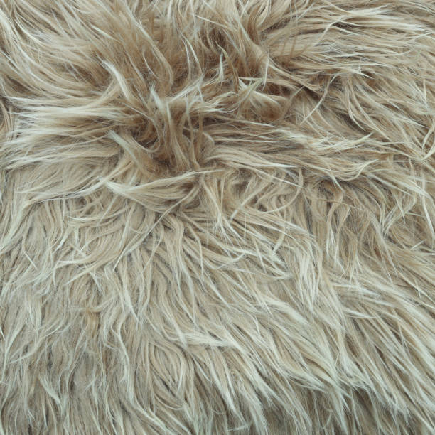 istock Warm brown beige fur background 2188873075