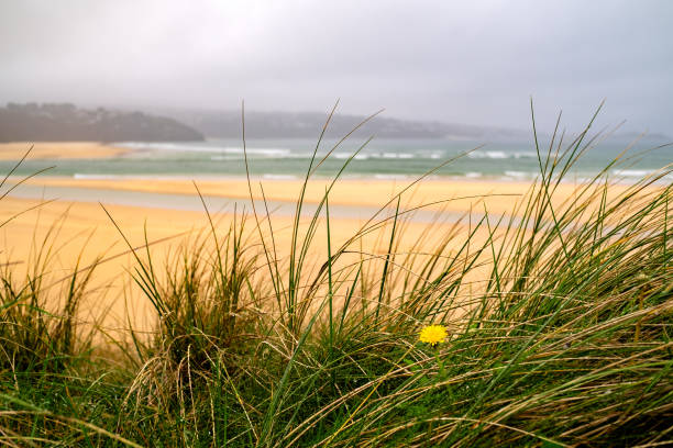istock St Ives Bay seascape 2188873349