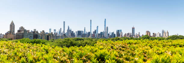 istock New York City skyline as seen from Central Park 2188876150