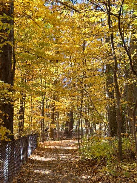 istock North Rim Trail, Taughannock Falls 2188878245