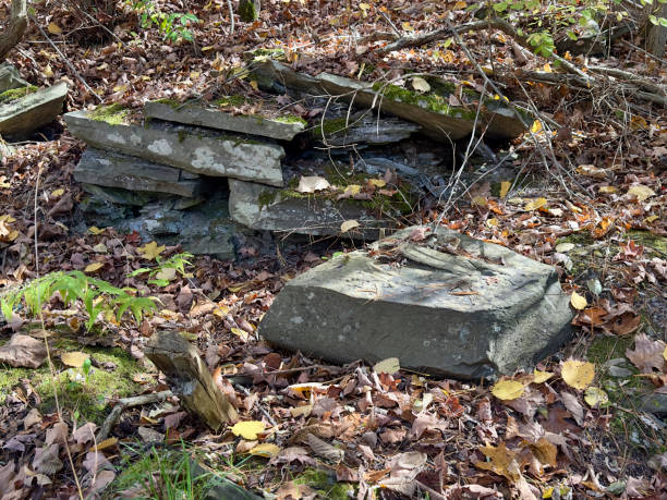 istock Orthogonal Joints, Taughannock Falls State Park 2188878257