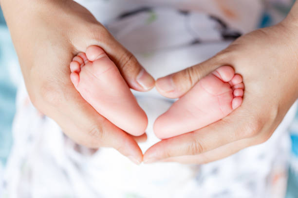 istock Tiny baby feet held gently in loving hands, symbolizing warmth and care. This heartwarming image captures bond between parent and child, evoking feelings of tenderness and joy 2188878531