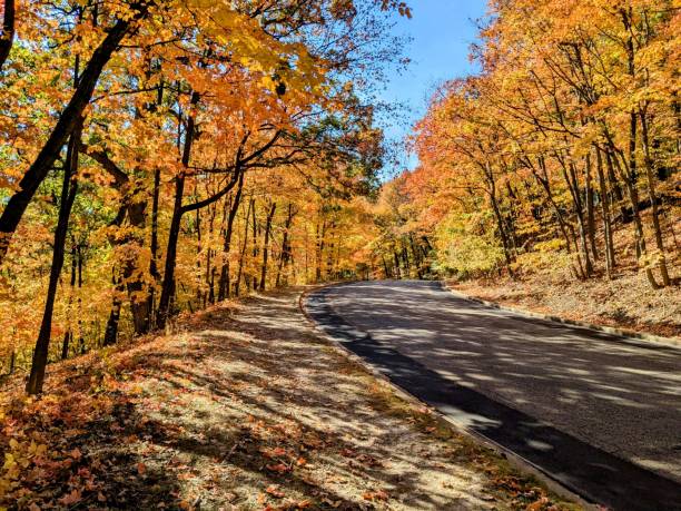 istock A winding road in the autumn colored forest. 2188879746