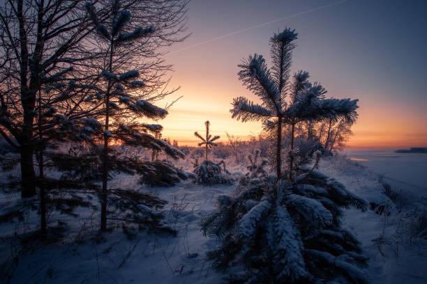 istock The beautiful winter sunrise on the Volga river and trees. 2188880418
