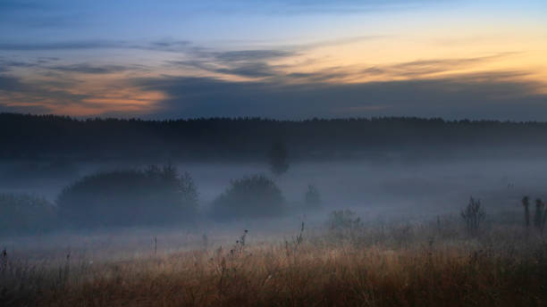 istock Autumn sunny morning with fog in the forest. 2188880452