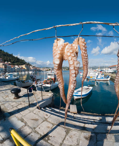 istock Octopus for restaurant, Gytheio, Greece 2188880722