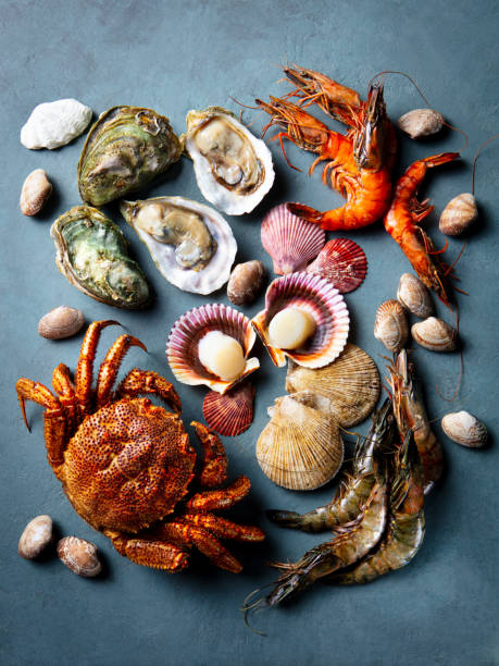 Crab claws, clams, lobster tail, shrimp