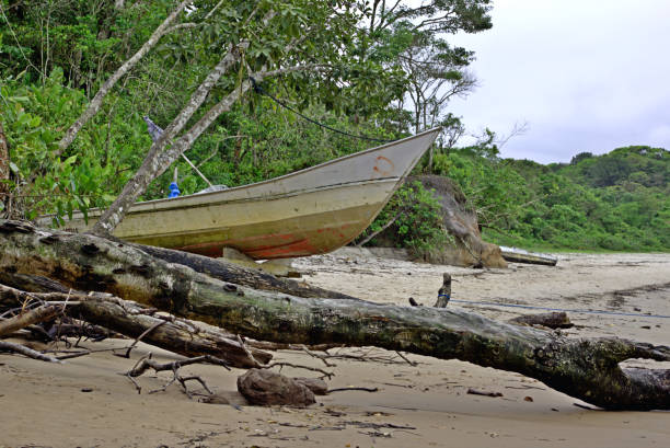 istock Tropical beach with Lush green vegetation and sand 2188886671