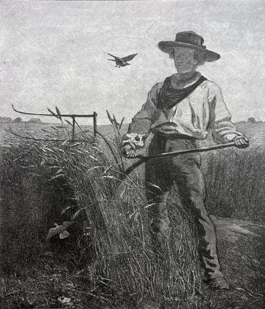 Antique illustration pre 1900