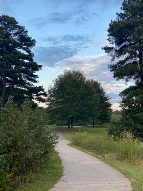 Tree Poses, Nature, and Skyscapes