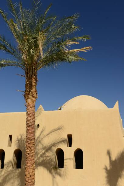 Mid-adult man's hand showing the Al Mina Mosque in Hurghada, Egypt.