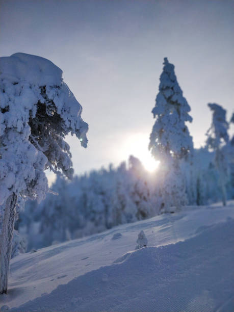 istock Snow landscape with sunset in background 2188892005