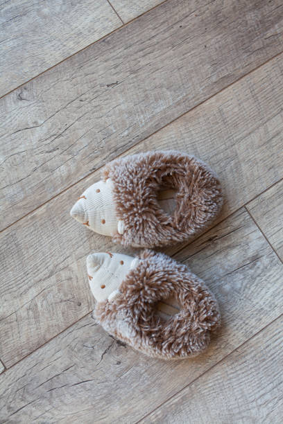 House slippers hedgehogs on a floor.