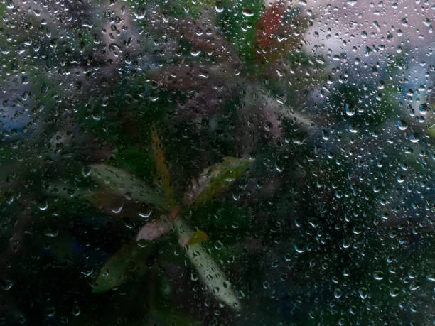 Foggy is filled or abounding with fog.