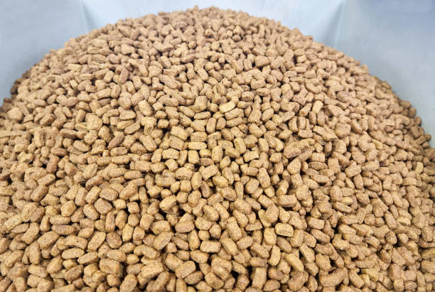 Dry Pet Food background