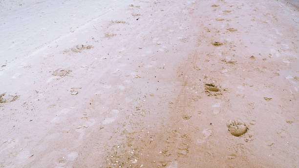 istock Yellow fine sand grain texture and horse footprint background 2188894319