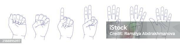 Five Position Hand Set Of Hand Gestures In Various Positions Sketch Counting With Fingers ...
