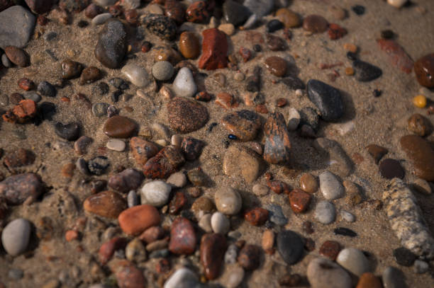 sand and pebbles on the beach